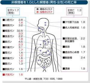 喫煙者（男性・女性）の死亡率